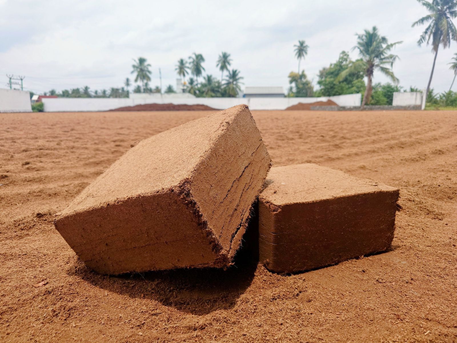 Compressed coco peat blocks for commercial growing media supply
