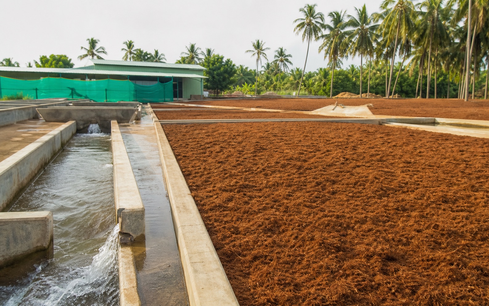 Cocopeat washing channels and drying yard