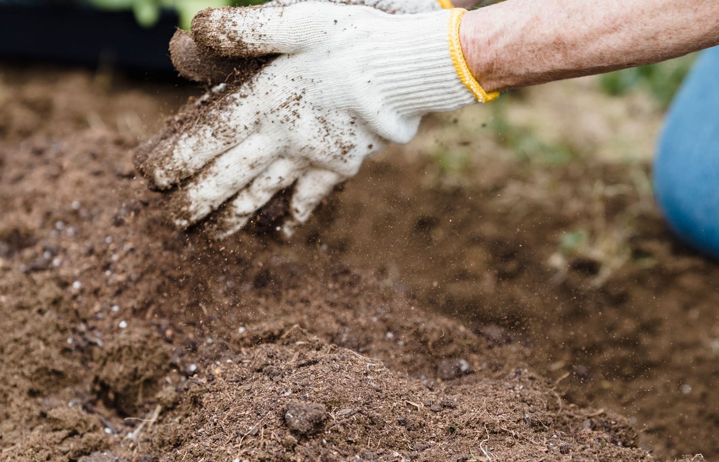 Gloved hand working organic soil for improved structure and moisture retention